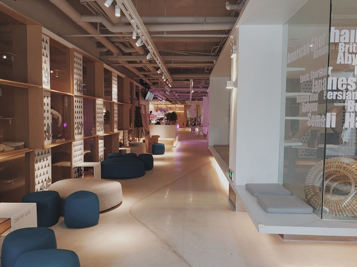 济南宠物店店面装修有效提升客户好感的设计要点.jpg 济南宠物店店面装修有效提升客户好感的设计要点.jpg